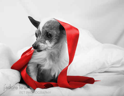 Mischka