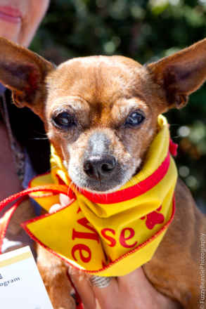 Snookie