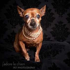 Snookie