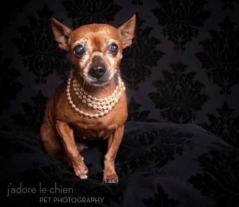 Snookie