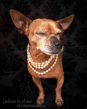 Snookie