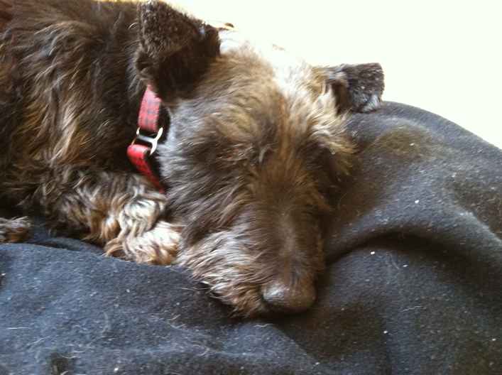 Charlie