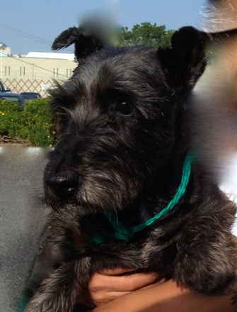 Charlie