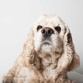 Bailey