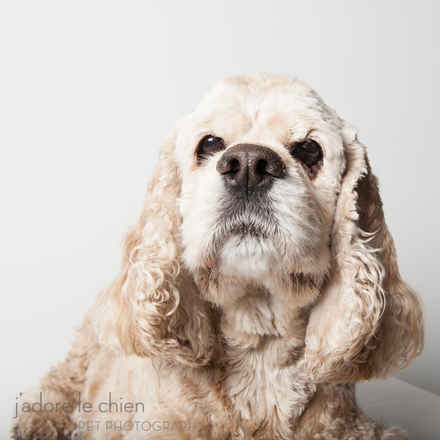 Bailey