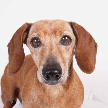 Fritzi