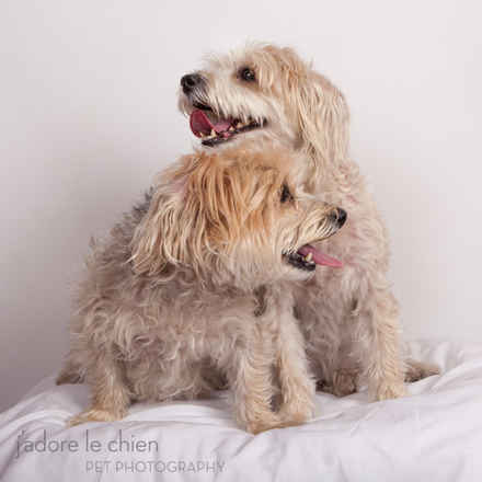 Tina and Teddy Bear