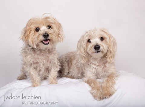 Tina and Teddy Bear