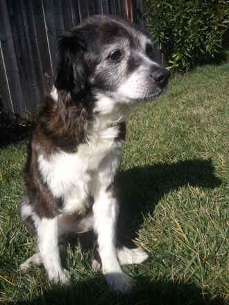 Molly