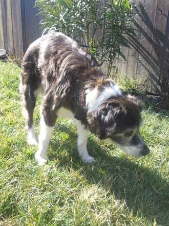 Molly