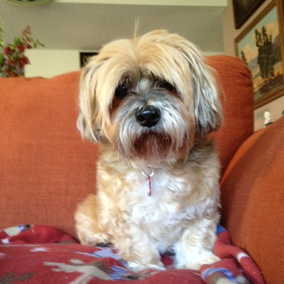 Snoopy