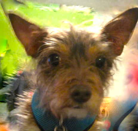 Mathilda