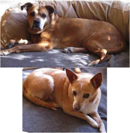 Lacy and Simone