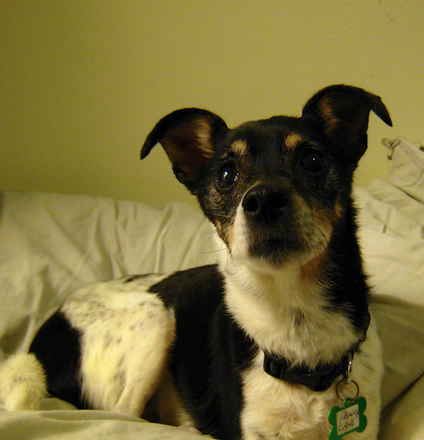 Penny Lane