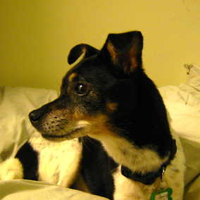 Penny Lane