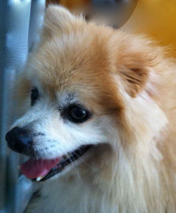 Billy