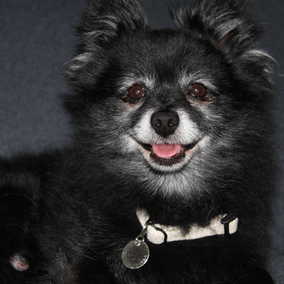 Tito