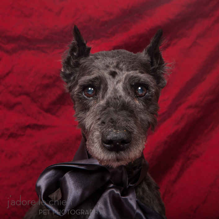 Archibald
