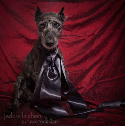 Archibald
