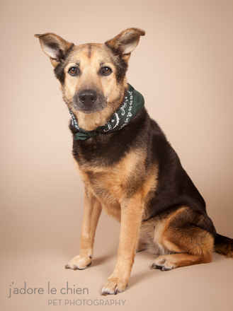 Dixie