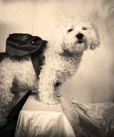 Benji