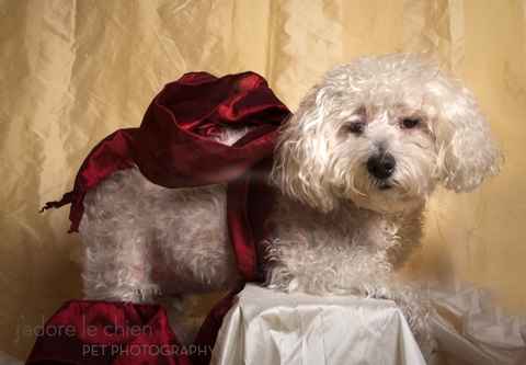 Benji