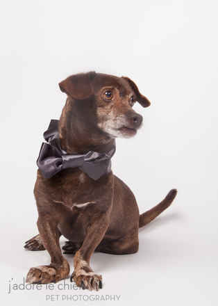 Oscar