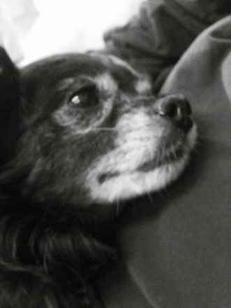 Lulu