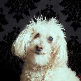 Esther
