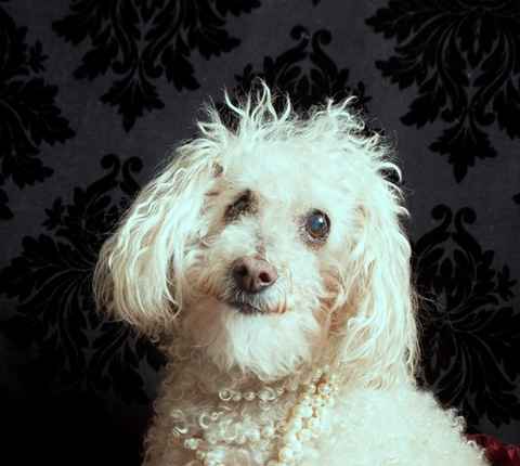 Esther