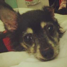 Ruthie