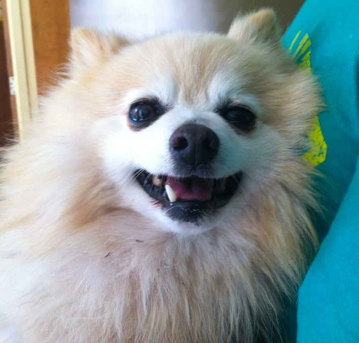Prince