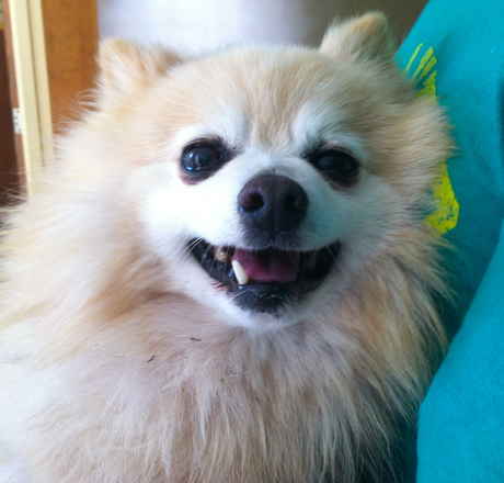 Prince