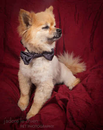 Chevy
