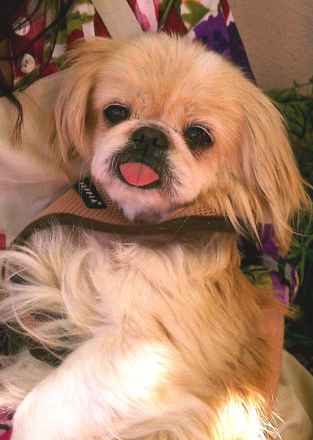 MayLee