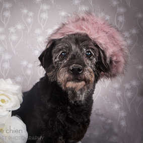 Grandma Jones
