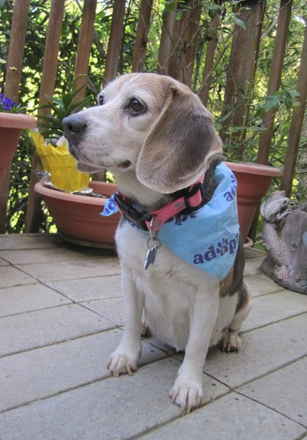 Molly Brown