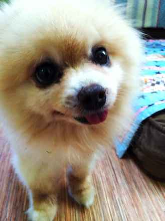 Floyd