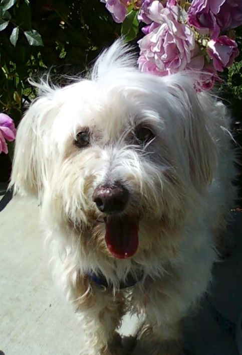 Lucy