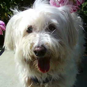 Lucy