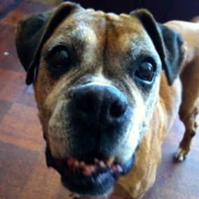 Thelma