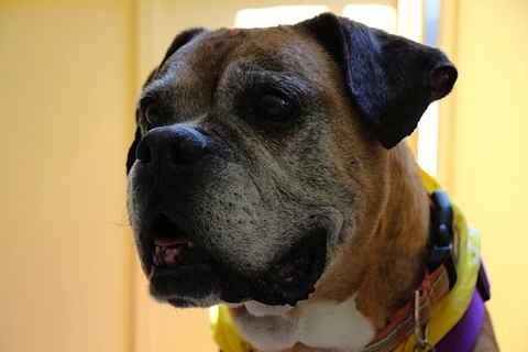 Thelma