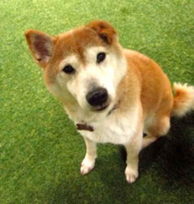 Kira