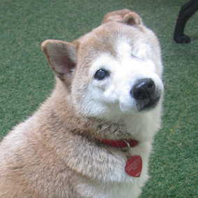 Kira