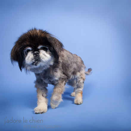 Mitzi