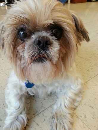 Monty