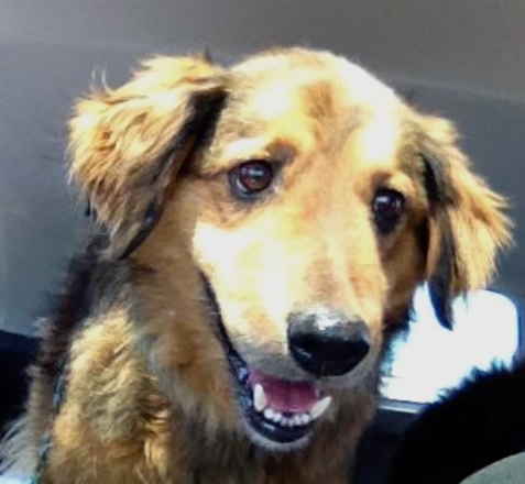 Charlie