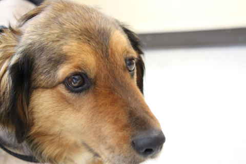 Charlie