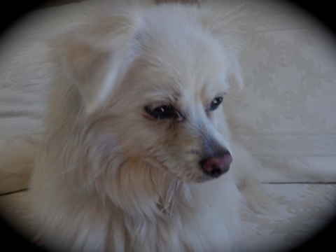 Yuki