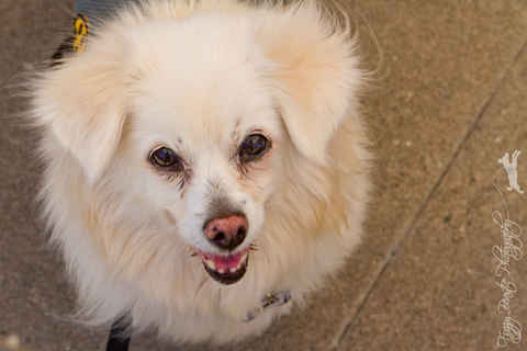 Yuki